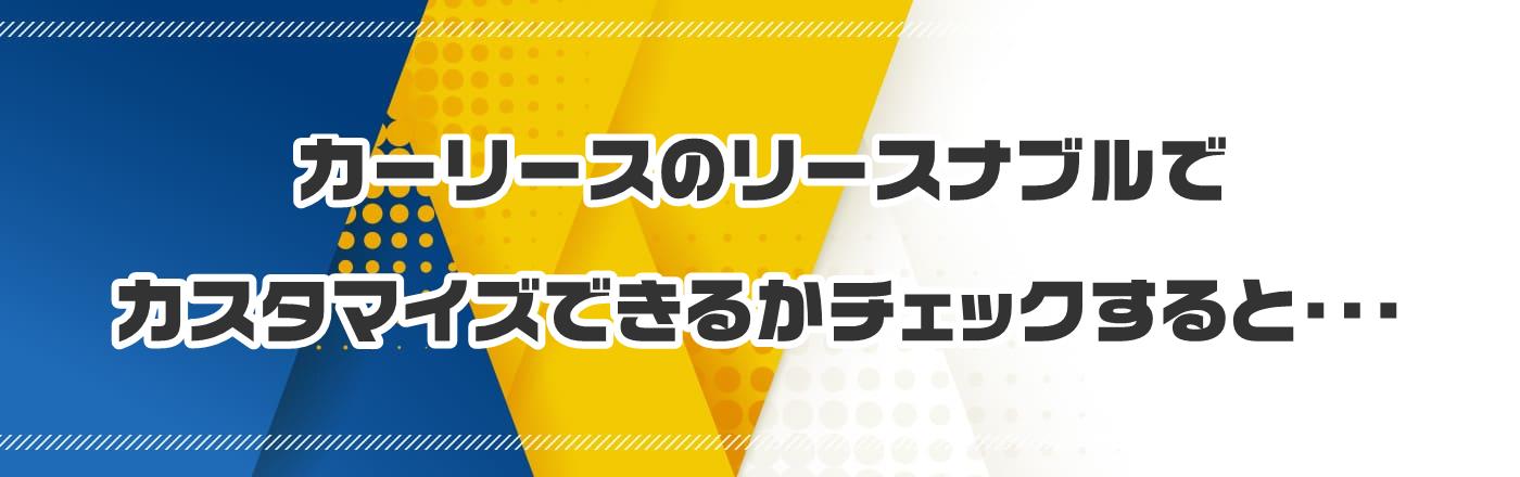 カーリースのリースナブルでカスタマイズできるかチェックすると・・・
